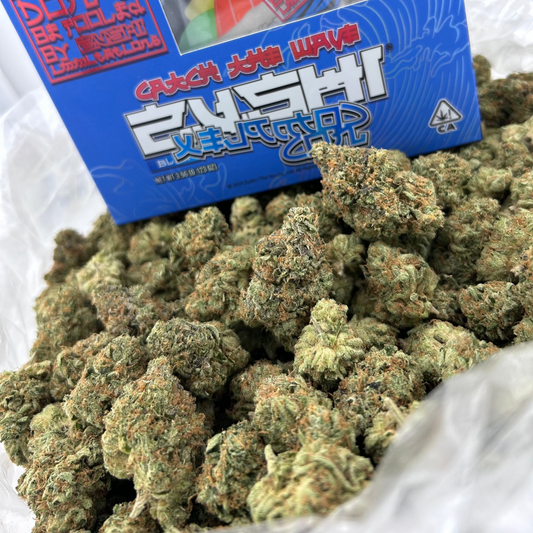 Blue Zushi Tenco